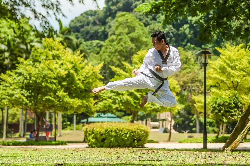 Chen Style Tai Chi Image